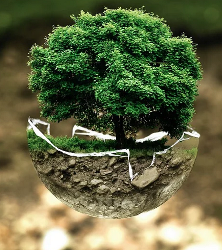 Planète verte